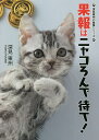 果報はニャコろんで待て!/深見東州【1000円以上送料無料】