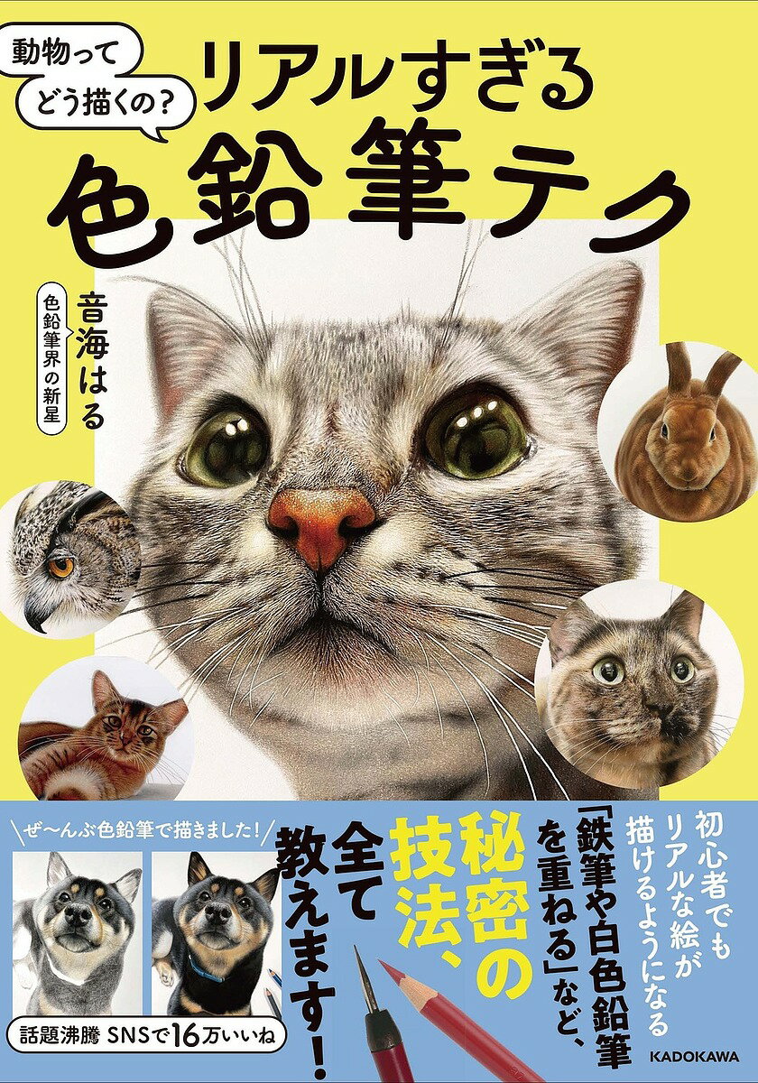 動物ってどう描くの?リアルすぎる色鉛筆テク／音海はる【1000円以上送料無料】のサムネイル