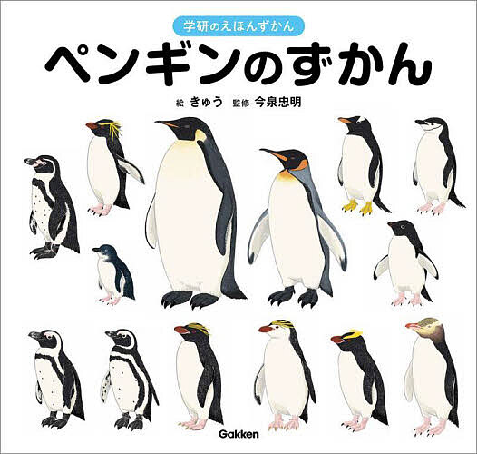 【送料無料】ペンギンのずかん／きゅう／今泉忠明