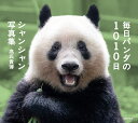 毎日パンダの1010日シャンシャン写真集/高氏貴博【1000円以上送料無料】