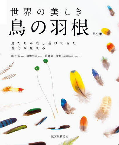 世界の美しき鳥の羽根 鳥たちが成