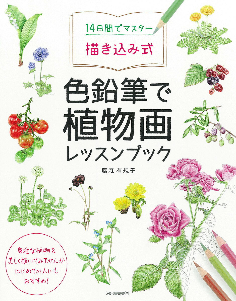 14日間でマスター描き込み式色鉛筆で植物画レッスンブック／藤森有規子【1000円以上送料無料】