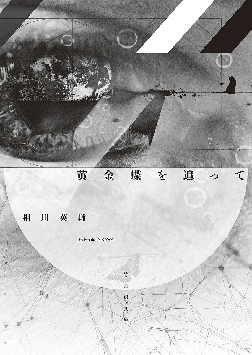【送料無料】黄金蝶を追って／相川英輔