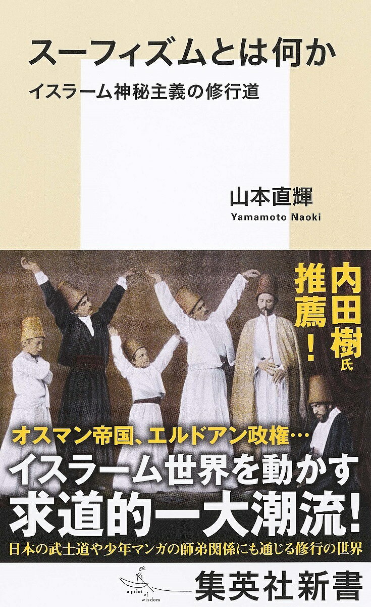 スーフィズムとは何か イスラーム神秘主義の修行道／山本直輝【1000円以上送料無料】