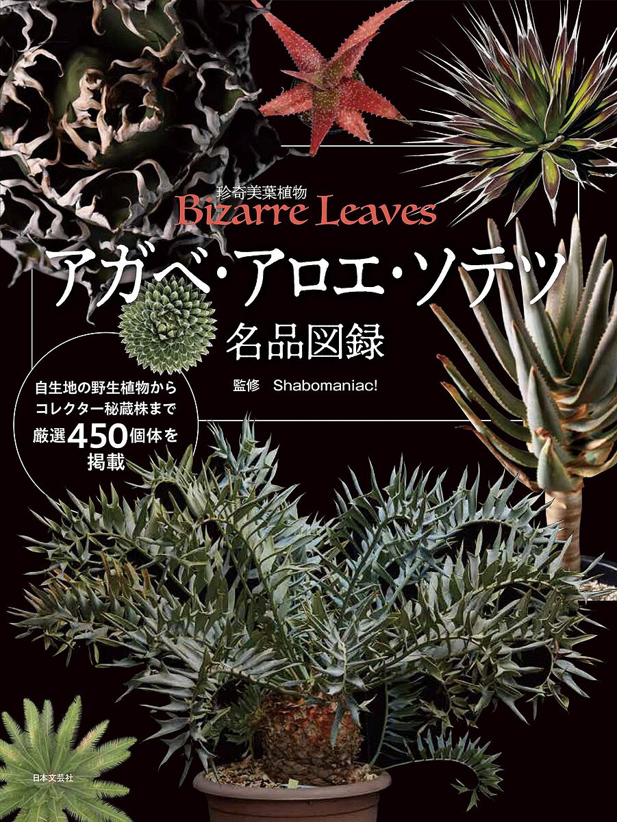 ソテツ アガベ・アロエ・ソテツ名品図録 珍奇美葉植物Bizarre Leaves／Shabomaniac！【1000円以上送料無料】