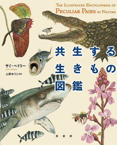 【送料無料】共生する生きもの図鑑／サミ・ベイリー／上原ゆうこ
