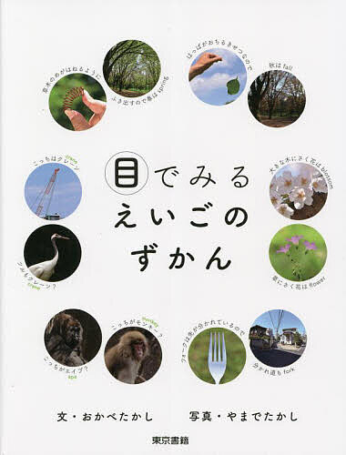 ※商品画像はイメージや仮デザインが含まれている場合があります。帯の有無など実際と異なる場合があります。著者おかべたかし(文) やまでたかし(写真)出版社東京書籍発売日2023年08月ISBN9784487817122ページ数87Pキーワードめでみるえいごのずかん メデミルエイゴノズカン おかべ たかし やまで オカベ タカシ ヤマデ9784487817122内容紹介英語は見るとわかりやすい！「ツリー（tree）」と「ウッド（wood）」日本語だと両方とも「木」だけども、英語ではどう使い分けているの？など、にている英語を写真でみくらべてみると、その違いがよくわかる！他にも、「落ちる」は「fall」「秋」も「fall」といった、同じつづりでも違う意味の英語や「マツ+リンゴ＝パイナップル」など、足すと生まれる英語を写真でみて、理解する、もっと英語がみたくなる図鑑！※本データはこの商品が発売された時点の情報です。目次1章 にているえいご（ape／monkey/big／large/bird／fowl ほか）/2章 同じえいごでちがういみ／ちがうえいごで同じいみ（crane/fall/fork ほか）/3章 足すと生まれるえいご（dragon＋fly/fire＋engine/jelly＋fish ほか）