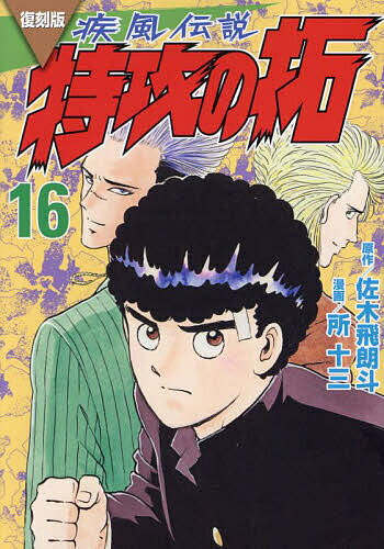 疾風(かぜ)伝説特攻(ぶっこみ)の拓 16 復刻版／佐木飛朗斗／所十三【1000円以上送料無料】