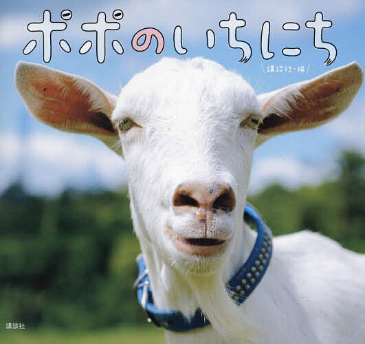 〔予約〕ポポのいちにち／講談社【1000円以上送料無料】のサムネイル