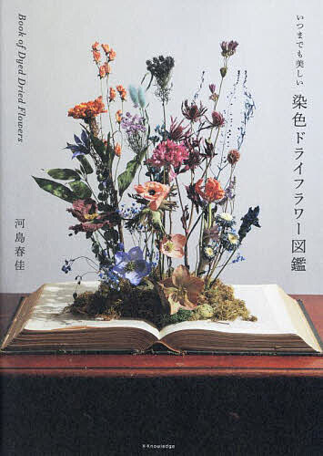 【送料無料】いつまでも美しい染色ドライフラワー図鑑／河島春佳
