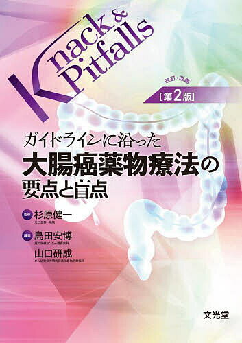 ガイドラインに沿った大腸癌薬物療法の要点と盲点／杉原健一／島田安博／山口研成【1000円以上送料無料】