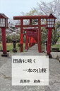 田舎に咲く一本の山桜/真那井政春【1000円以上送料無料】