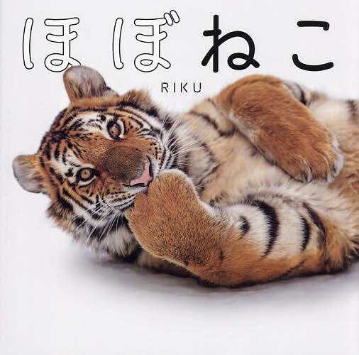 ほぼねこ ネコ科の猛獣たちのネコみたいな写真集／RIKU【1000円以上送料無料】