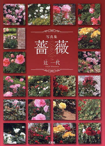 【送料無料】薔薇 写真集／辻一代