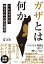 ガザとは何か パレスチナを知るための緊急講義／岡真理【1000円以上送料無料】