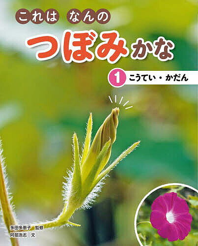 【送料無料】これはなんのつぼみかな 1／阿部浩志／多田多恵子
