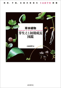 草本植物芽生えと初期成長図鑑 発芽、子葉、本葉の形態を1487種網羅/小林正明【1000円以上送料無料】