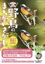 1日2分で脳が若返る!野鳥のまちがいさがし/瀧靖之【1000円以上送料無料】