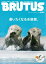 BRUTUS(ブルータス) 2024年3月15日号【雑誌】【1000円以上送料無料】