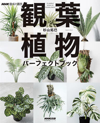 観葉植物パーフェクトブック／杉山拓巳【1000円以上送料無料】