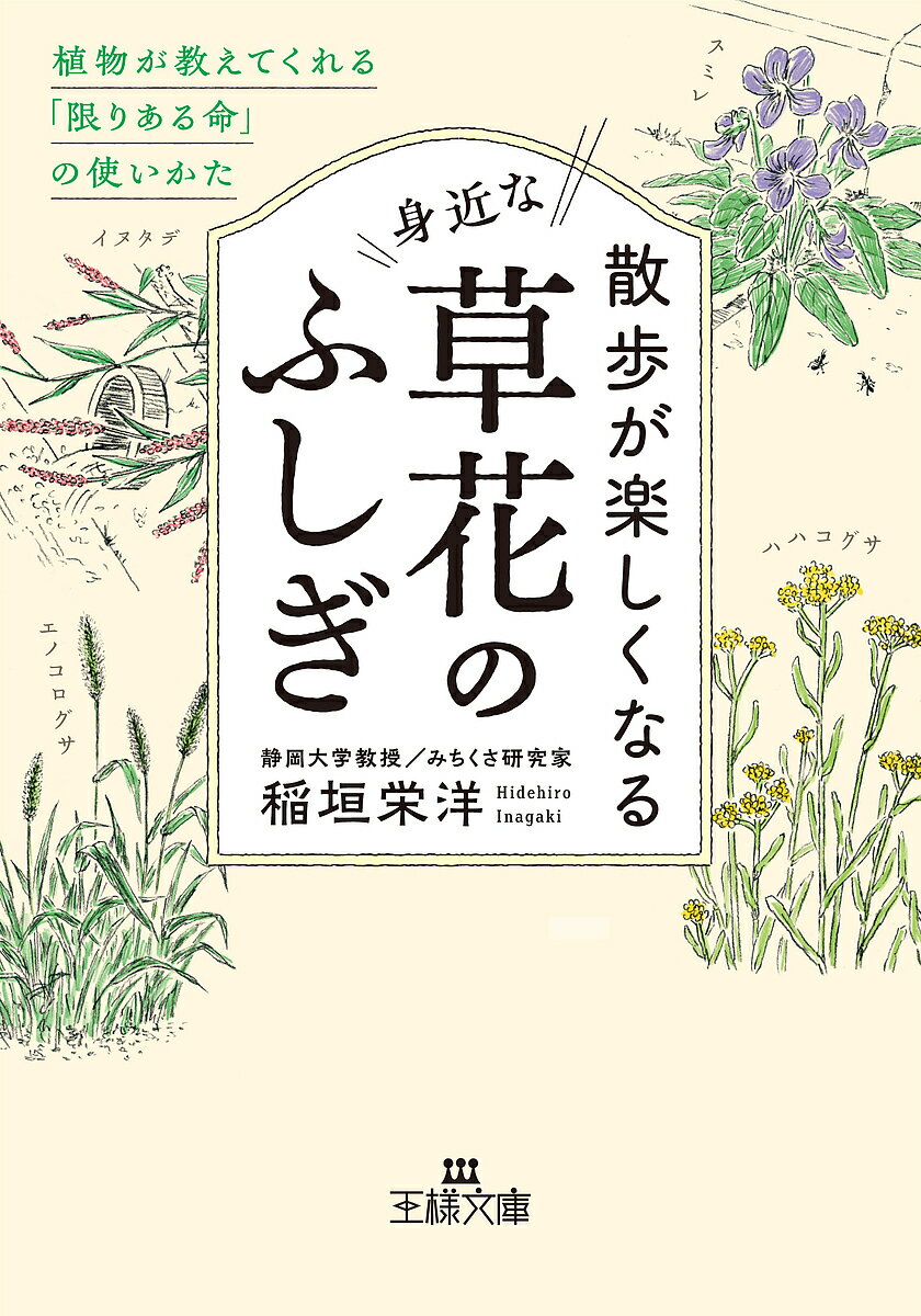 散歩が楽しくなる身近な草花のふしぎ／稲垣栄洋【1000円以上送料無料】