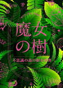 魔女の樹 不思議の森の樹木事典/サンドラ・ローレンス/堀口容子【1000円以上送料無料】