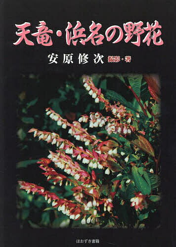 天竜・浜名の野花／安原修次／写真縄文未来【1000円以上送料無料】