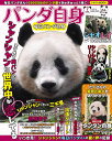 パンダ自身 7頭め/旅行【1000円以上送料無料】