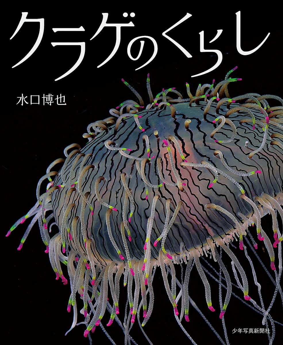 ※商品画像はイメージや仮デザインが含まれている場合があります。帯の有無など実際と異なる場合があります。著者水口博也(著)出版社少年写真新聞社発売日2024年07月ISBN9784879818027ページ数1冊（ページ付なし）キーワードえほん 絵本 プレゼント ギフト 誕生日 子供 クリスマス 子ども こども くらげのくらししようねんしやしんしんぶんしやしやし クラゲノクラシシヨウネンシヤシンシンブンシヤシヤシ みなくち ひろや ミナクチ ヒロヤ9784879818027内容紹介太古の海からふわふわとただよい、くらしてきたクラゲたちのくらしを知っていますか？ さまざまな場所にすみ、生きるために食事をして、時にはほかの生き物と共生をしながら、命をつないでいます。かれらの生きている姿を美しい写真とともに紹介します。クラゲは人間を刺す厄介者……そうしたイメージを変えてくれます。※本データはこの商品が発売された時点の情報です。