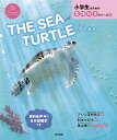 THE SEA TURTLE/アレン玉井光江/村本ちひろ/子供/絵本【1000円以上送料無料】