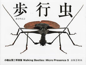 歩行虫 小檜山賢二写真集/伊藤昇/・同定田村克徳標本制作小檜山賢二【1000円以上送料無料】
