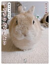 あーちゃんちのうさぎのみみだより/ナカタ家【1000円以上送料無料】