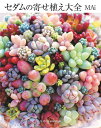 セダムの寄せ植え大全/MAi【1000円以上送料無料】
