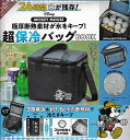 MICKEY MOUSE 超保冷バッグB【1000円以上送料無料】