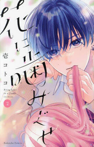 ������̵���۲֤˳��ߤ��� 2�������ȥ�