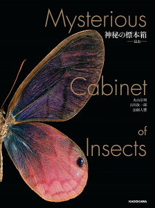 神秘の標本箱-昆虫-/丸山宗利/吉田攻一郎/法師人響【1000円以上送料無料】