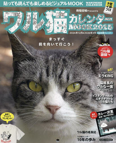 【送料無料】ワル猫カレンダーMOOK 貼っても読んでも楽しめるビジュアルMOOK 2025／南幅俊輔