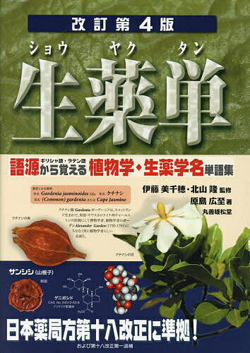 bookfan 2Ź ŷԾŹ㤨̵֡ñ 츻ꥷ졦ƥ줫Ф뿢ʪء̾ñ콸ƣ桿̻δ繭פβǤʤ4,180ߤˤʤޤ