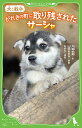 がれきの町に取り残されたサーシャ 犬と戦争/舟崎泉美/山田あかね/あやか【1000円以上送料無料】