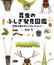 昆虫のふしぎ発見図鑑 近所の虫のすごさコレクション/安田守【1000円以上送料無料】