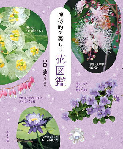 【送料無料】神秘的で美しい花図鑑／山田隆彦