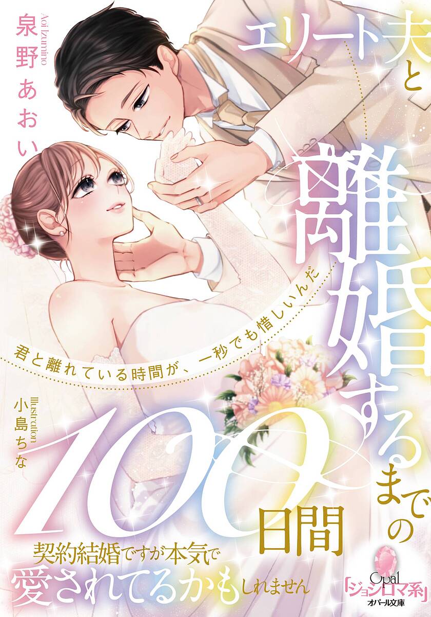【送料無料】エリート夫と離婚するまでの100日間 契約結婚ですが本気で愛されてるかもしれません／泉野あおい