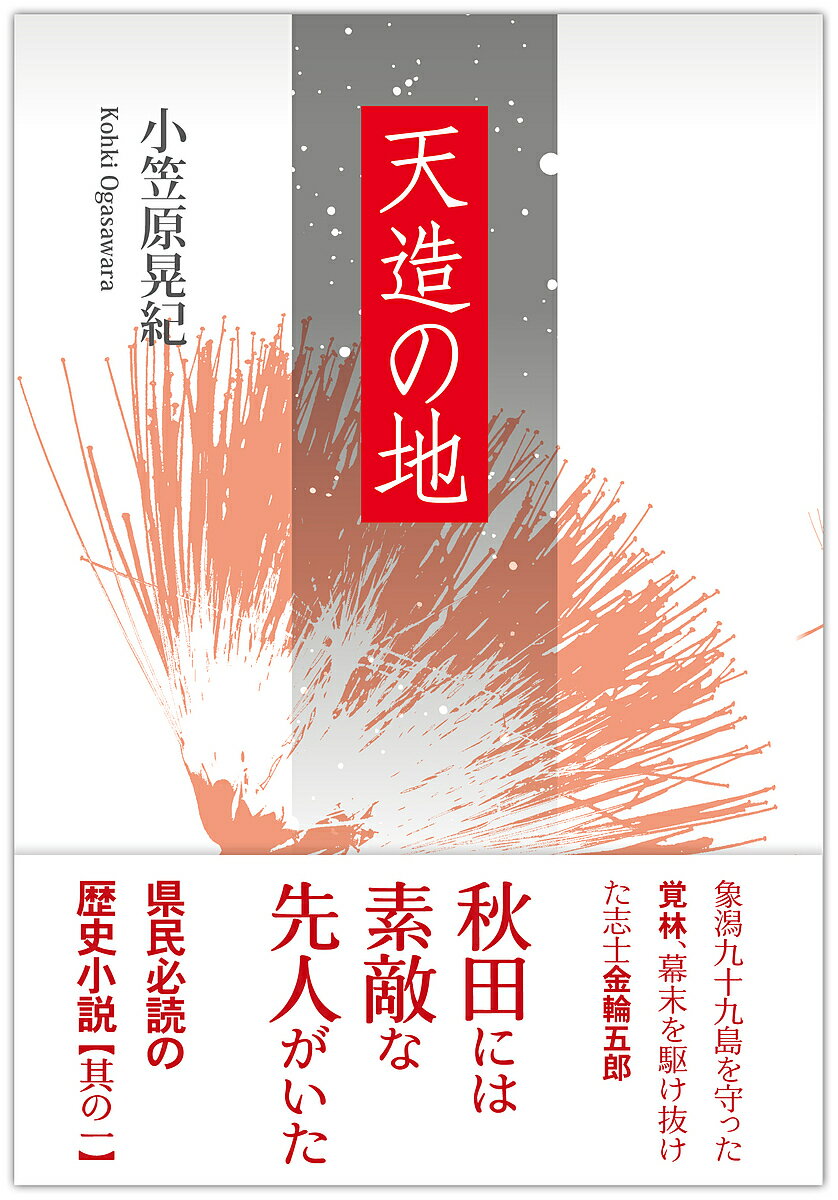 【送料無料】天造の地／小笠原晃紀