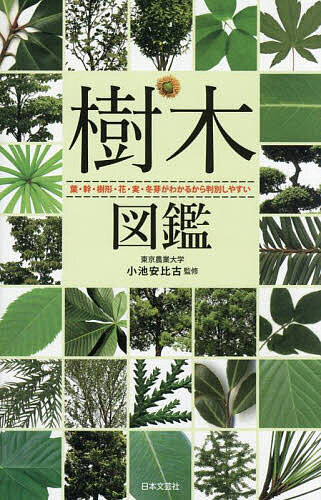 【送料無料】樹木図鑑 葉・幹・樹形・花・実・冬芽がわかるから判別しやすい／小池安比古／日本文芸社