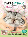 とろけるにゃんこ 心と体が整う猫ツボ&リンパマッサージ/石野孝/オキエイコ【1000円以上送料無料】