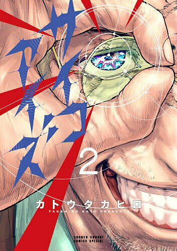 【送料無料】サイコアイズ 2／カトウタカヒロ(3.0)
