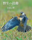 野生の鼓動 Part4/真木広造【1000円以上送料無料】