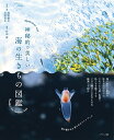 神秘的で美しい海の生きもの図鑑/茂野優太/・著石野昇太/・著井田齊【1000円以上送料無料】