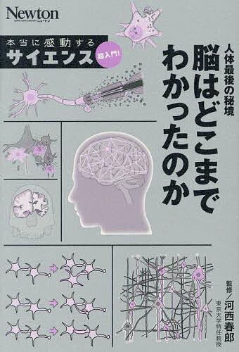 【送料無料】人体最後の秘境脳はどこまでわかったのか／河西春郎
