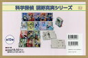 科学探偵謎野真実シリーズ 19巻セット/佐東みどり【1000円以上送料無料】